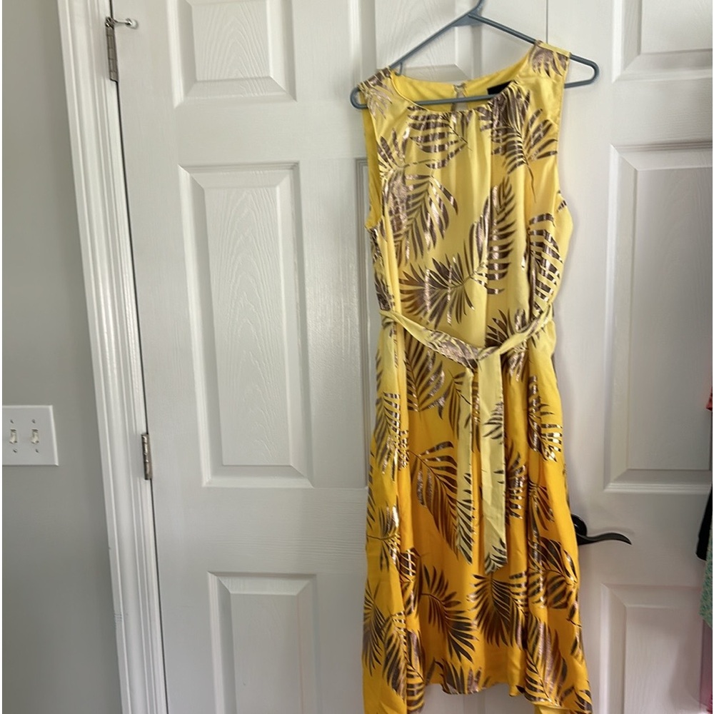 Midnight Velvet. Size 14. Yellow and copper.